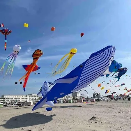 Belle Maison Berckoise Renovee - Lm La Berck