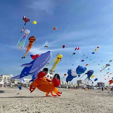 Belle Maison Berckoise Renovee - Lm La * Berck