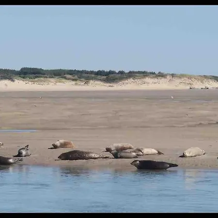 Belle Maison Berckoise Renovee - Lm La Hébergement de vacances Berck